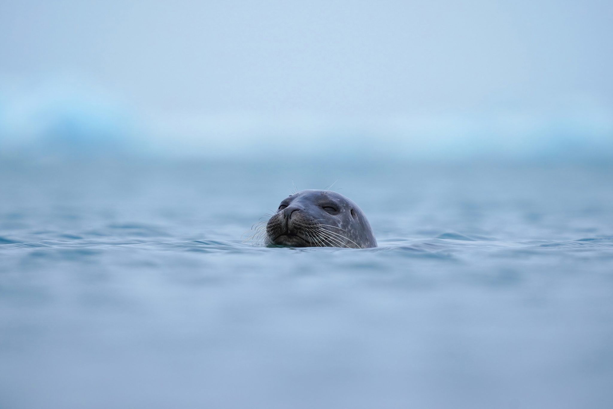 Jökulsárlón